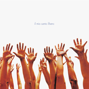 欧美精品丰满强奸xxxx
