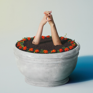 欧美精品丰满强奸xxxx
